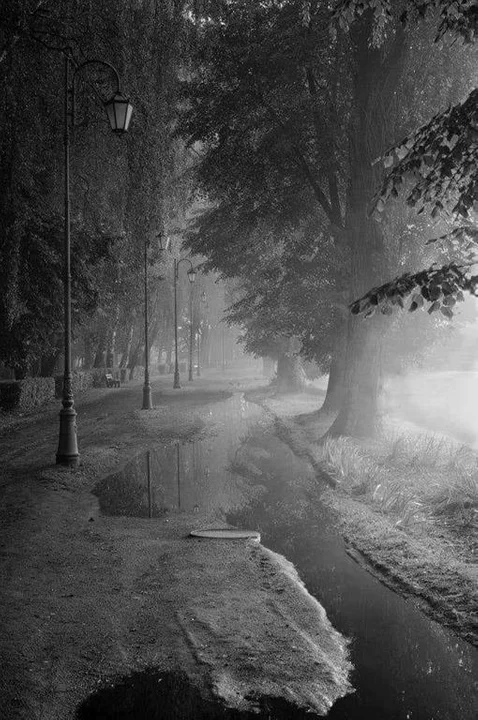 Zgierz oczami mieszkańców