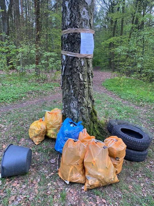 Czyste Lasy zachęcają do spacerów i sprzątania