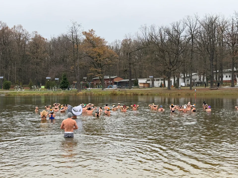 Morsy w Arturówku — Łódź, 24.11.2024 r.