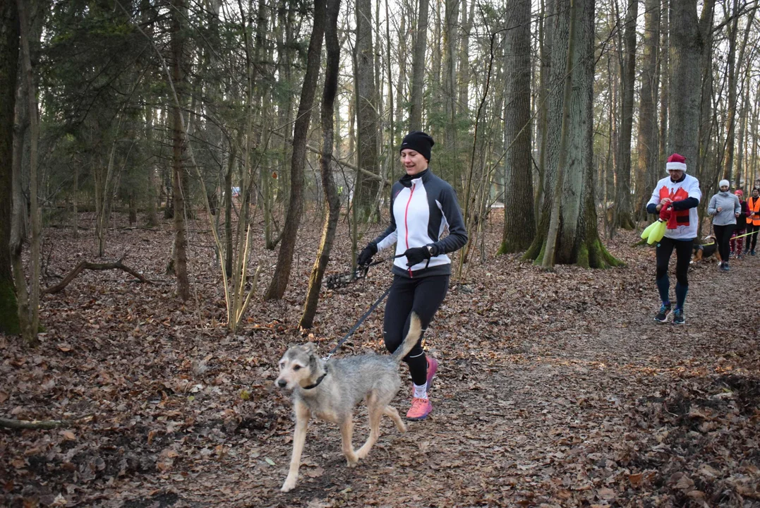 Parkrun w Lesie Łagiewnickim