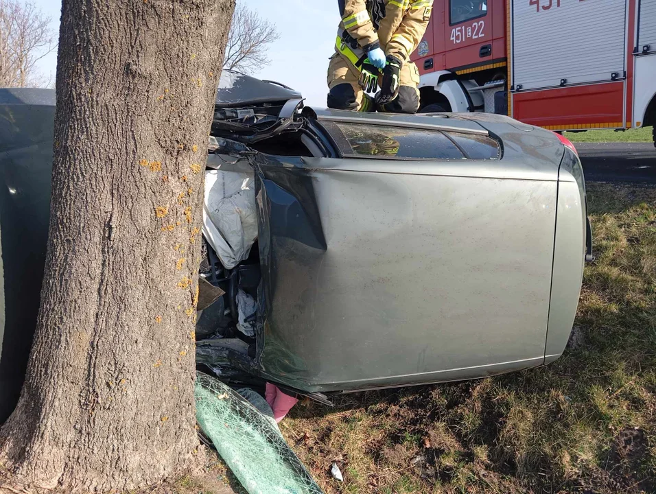 Groźny wypadek w Łódzkiem. Samochód wypadł z drogi [ZDJĘCIA] - Zdjęcie główne