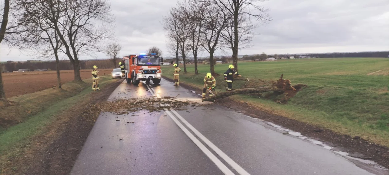 Wichura w Łódzkiem