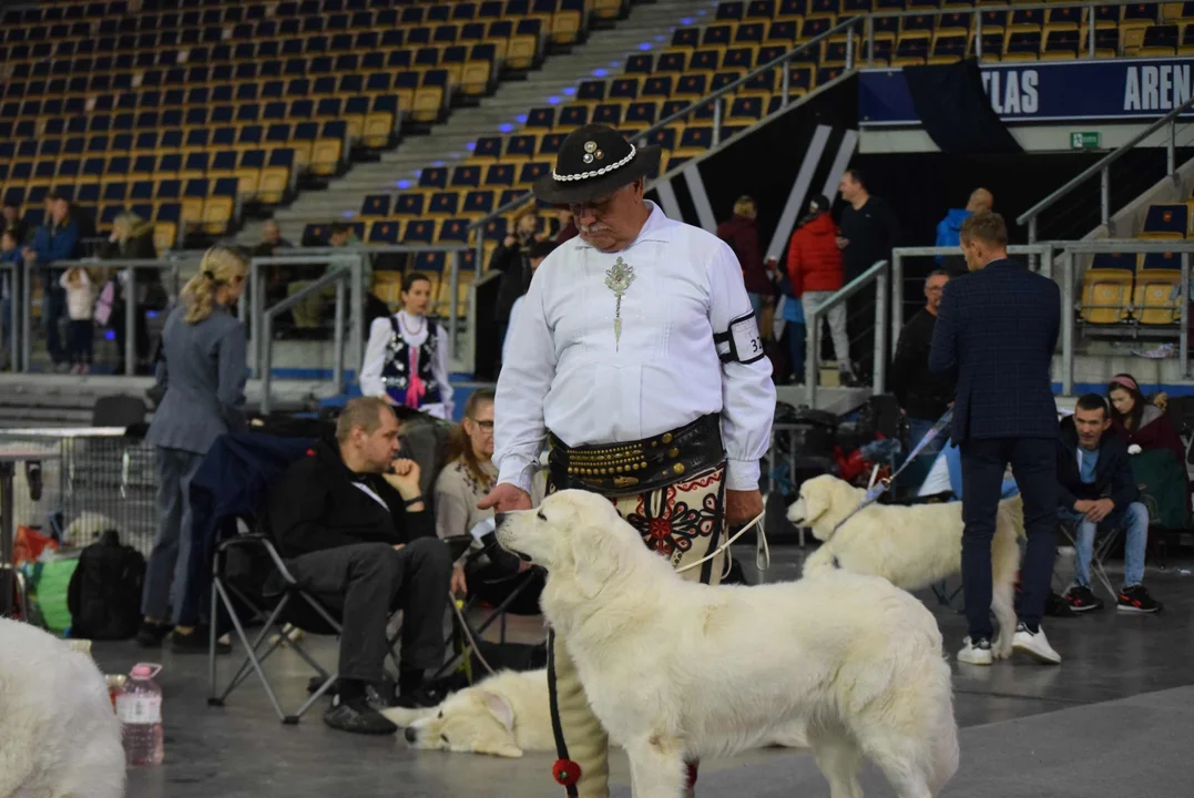 Wystawa psów w Atlas Arenie