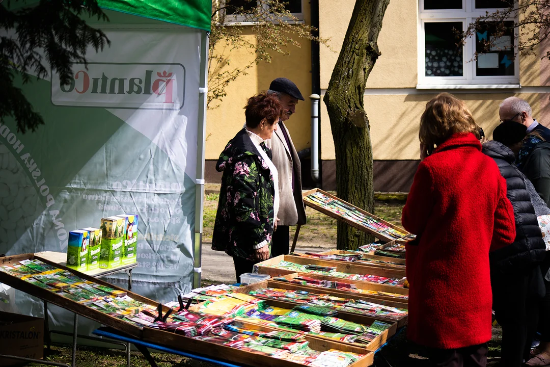 Międzynarodowy Dzień Ziemi w kutnowskiej bibliotece [ZDJĘCIA] - Zdjęcie główne