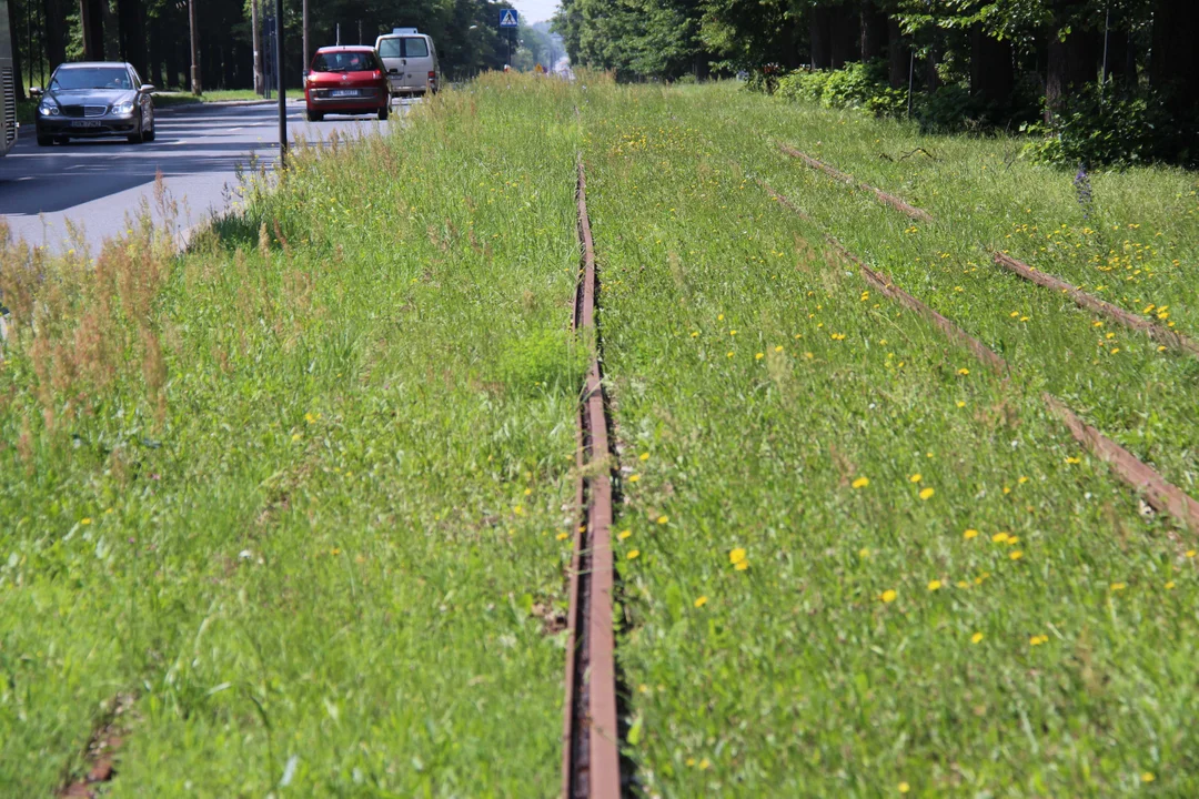 Nieczynne przystanki tramwajowe przy Konstantynowskiej