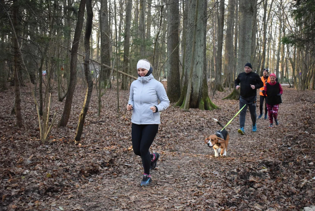 Parkrun w Lesie Łagiewnickim