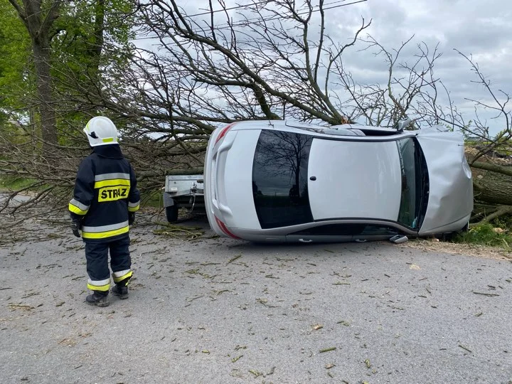 Mercedes uderzył w drzewo. Mogło skończyć się tragicznie [ZDJĘCIA] - Zdjęcie główne