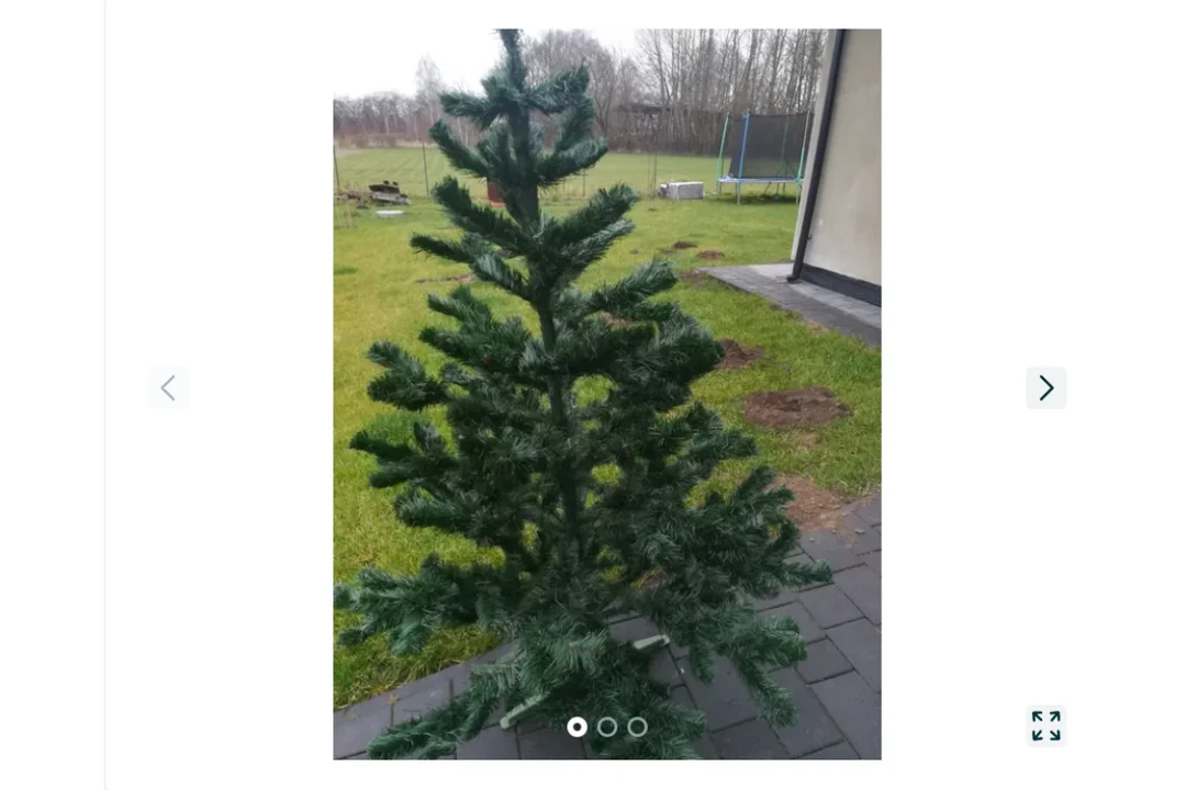 Oferty choinek na OLX w Zgierzu