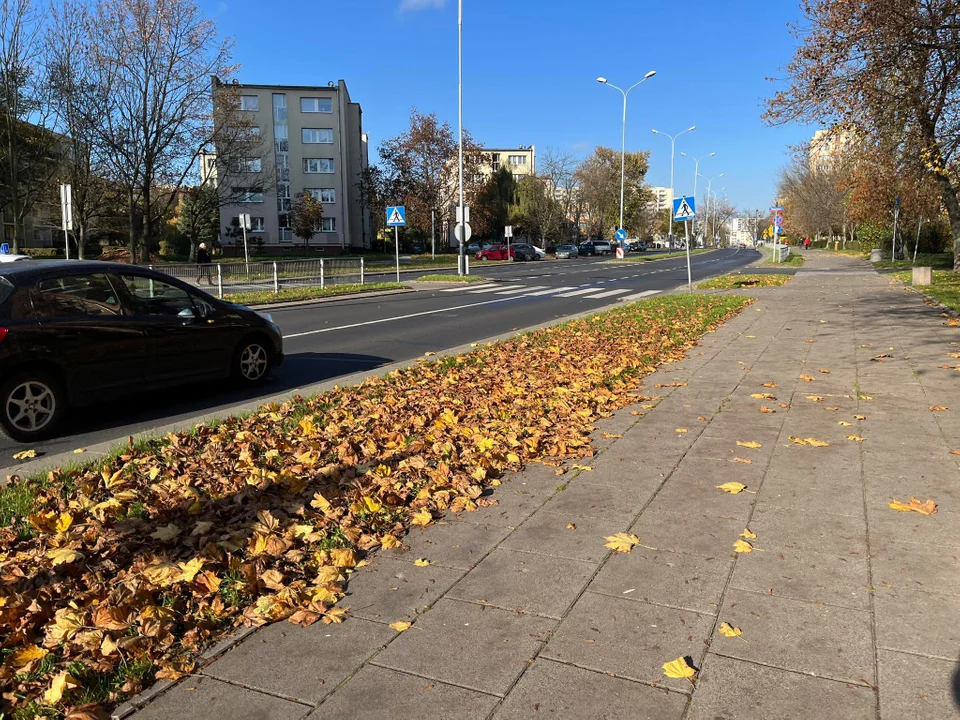 Kierujący pojazdami zawsze muszą ustąpić pierwszeństwa pieszym. Co na to łodzianie?