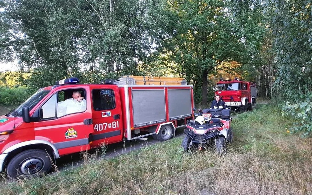 Tragiczny finał grzybobrania. Mężczyzna znalazł zwłoki na polu - Zdjęcie główne