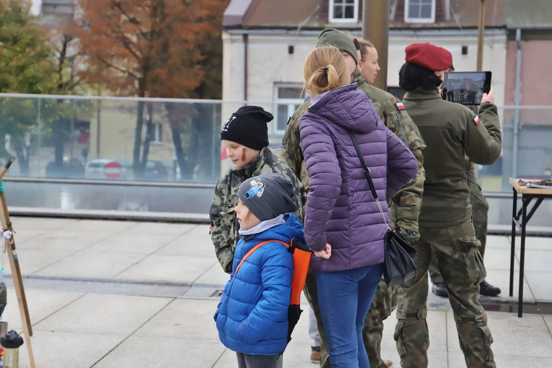 Tłumy na Pikniku Wojskowym z okazji Święta Niepodległości