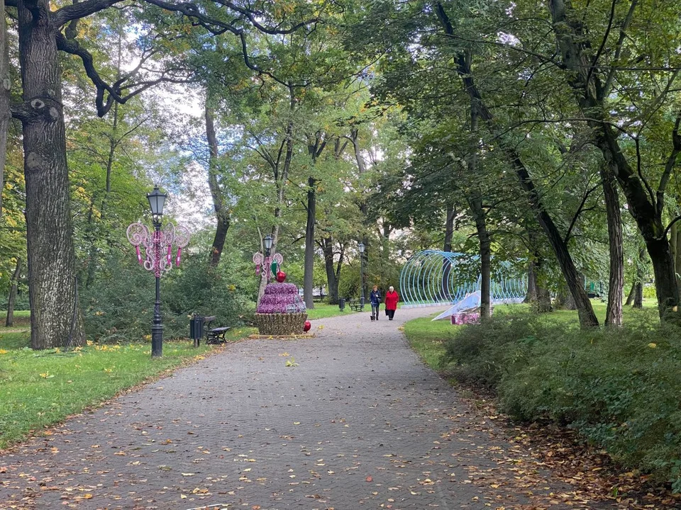 Park Miliona Świateł. Organizatorzy nie obawiają się podwyżek cen energii