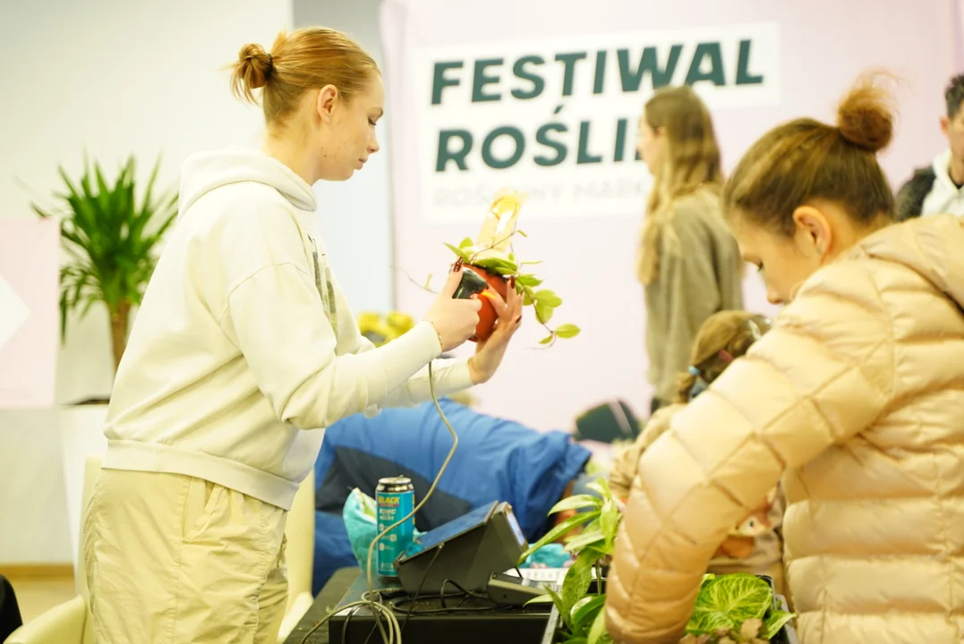 Festiwal Roślin w Gdańsku: Tłumy, kolekcjonerskie okazy i wyjątkowe ceny - Zdjęcie główne