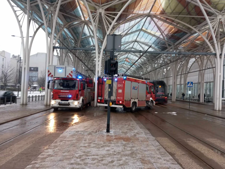 Zatrzymanie wszystkich linii tramwajowych MPK Łódź. Tramwaje stanęły na przystanku Piotrkowska Centrum [ZDJĘCIA] - Zdjęcie główne