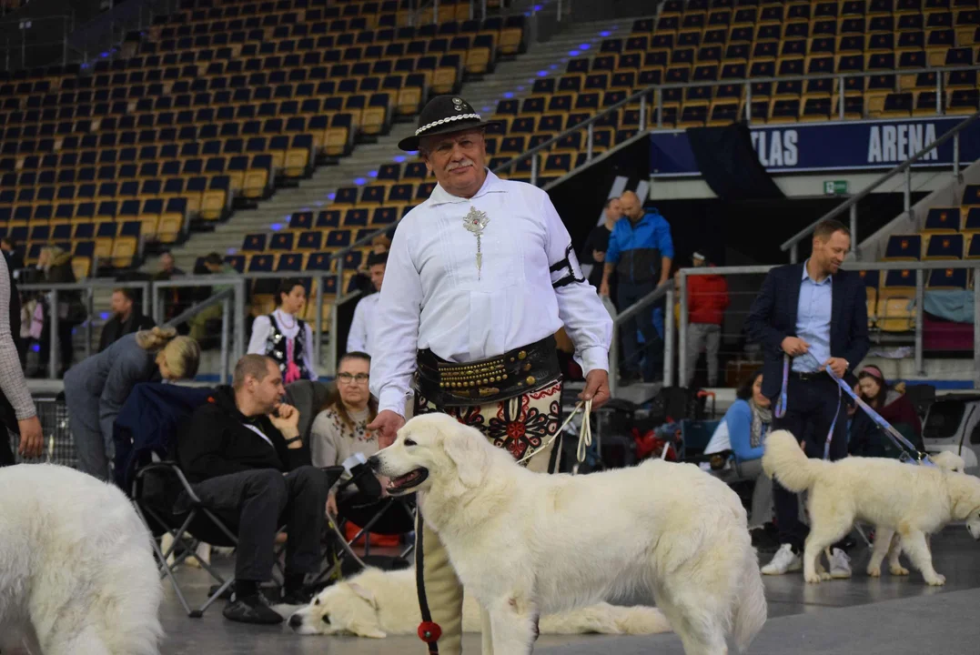 Wystawa psów w Atlas Arenie