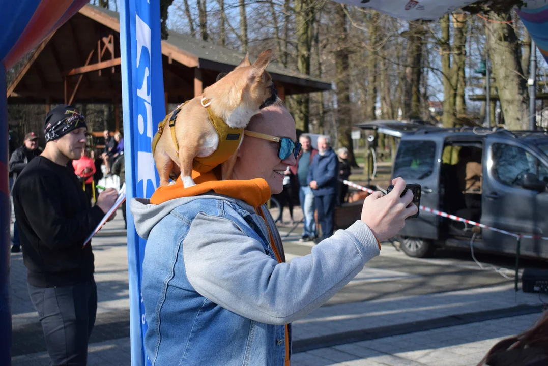 Bieg Tropem Wilczym w Zgierzu