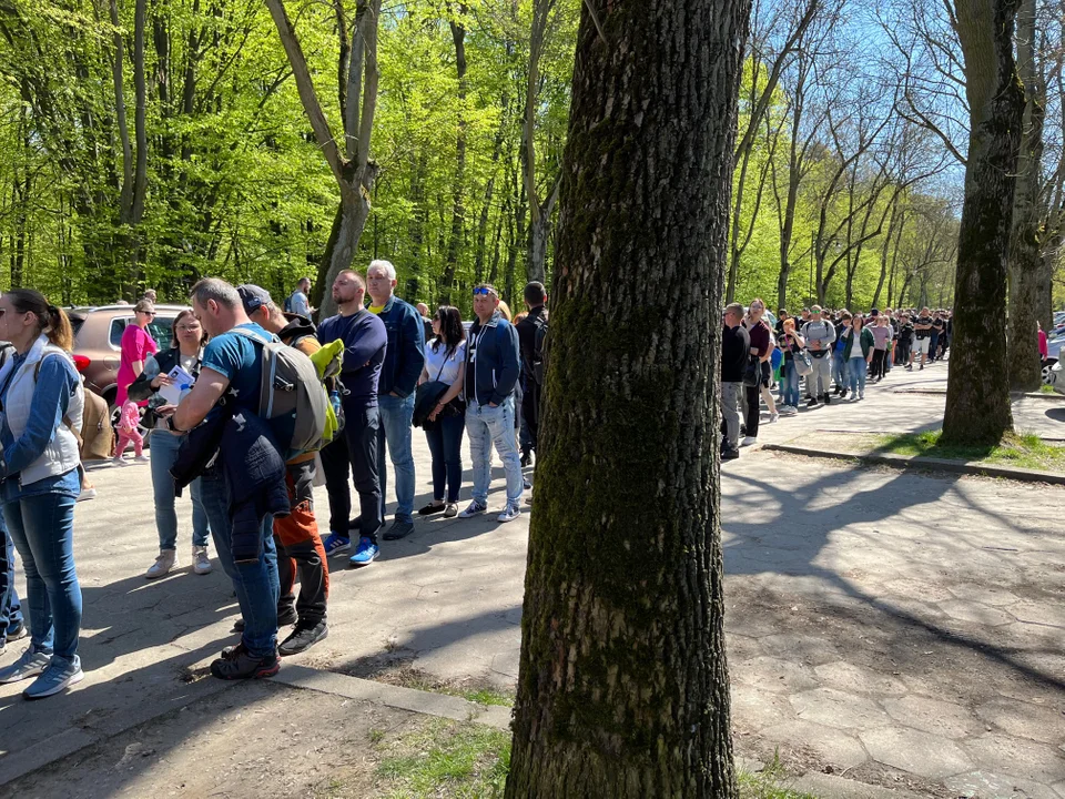 Kolejka w majówkę do Orientarium ZOO Łódź