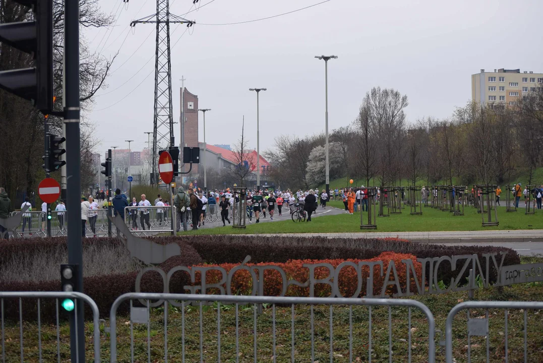 DOZ Maraton ulicami miasta. Zobacz zdjęcia z biegu głównego