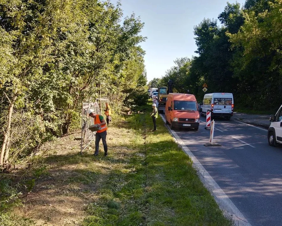 Ogłoszono datę powrotu tramwaju do Konstantynowa. Co z odcinkiem po łódzkiej stronie?