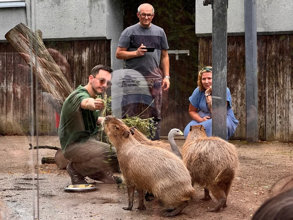 II Zlot Fanów Kapibary