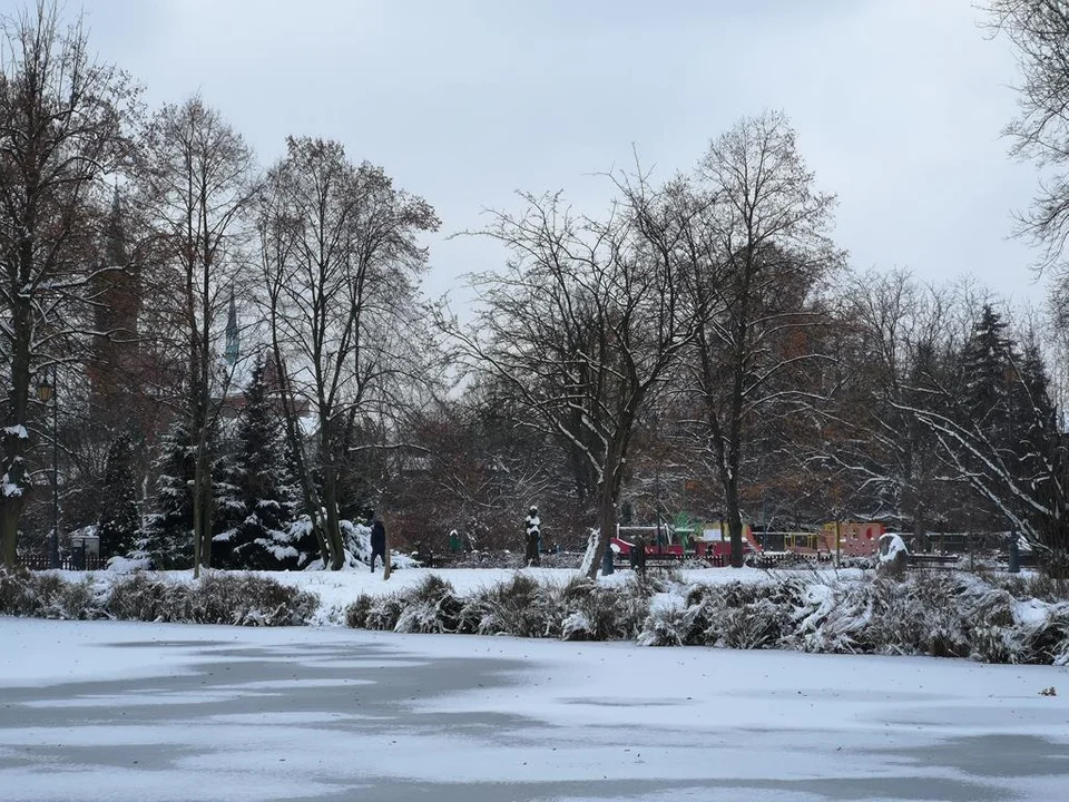 Zima zagościła w Parku Miejskim