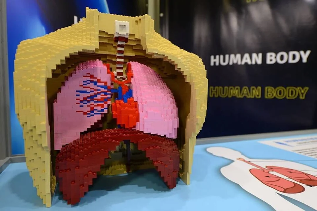 Klocki LEGO® w Porcie Łódź