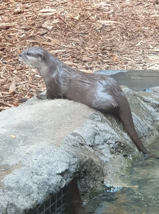 Orientarium ZOO Łódź