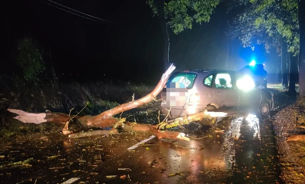 Auto rozbiło się o powalone drzewo, służby w akcji [FOTO] - Zdjęcie główne