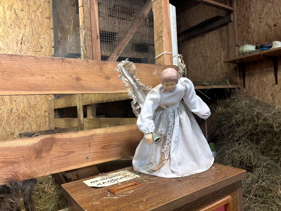 Niezwykła żywa szopka w Gdańsku-Strzyży