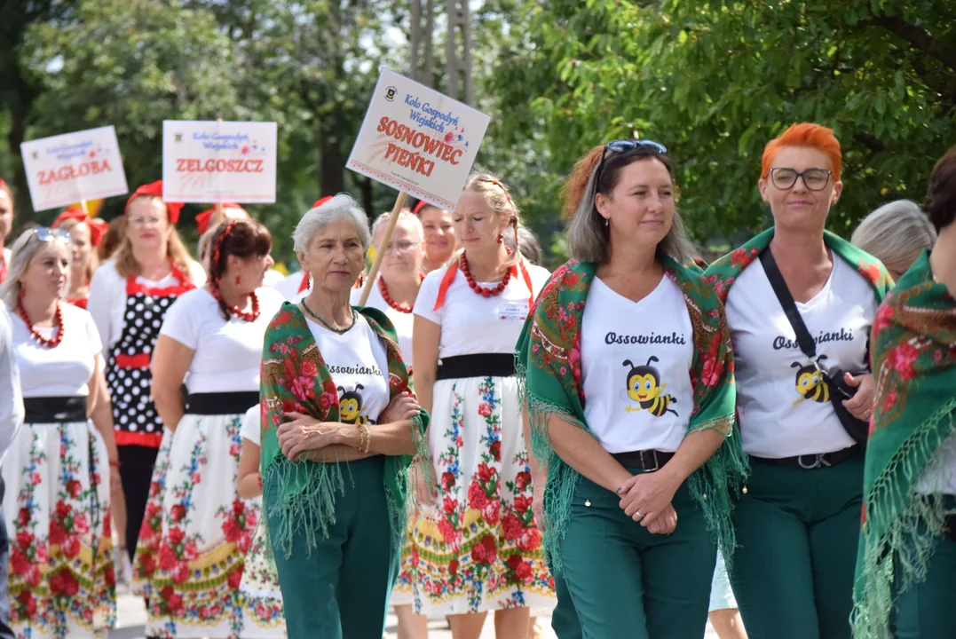 Dożynki gminy Stryków w Warszewicach