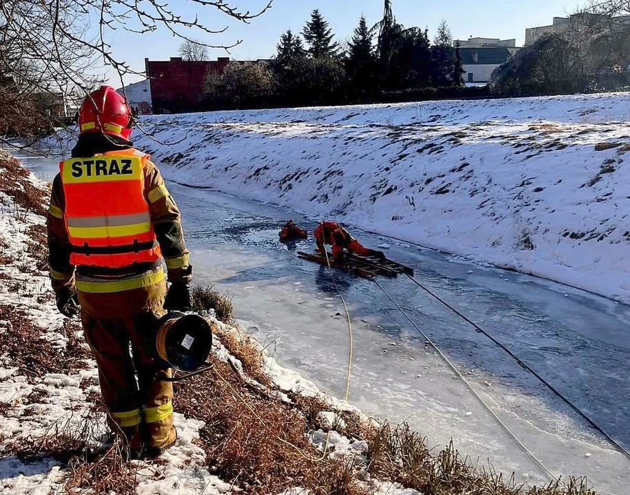 Mrożące krew w żyłach sceny na rzece. Strażacy w akcji (ZDJĘCIA) - Zdjęcie główne