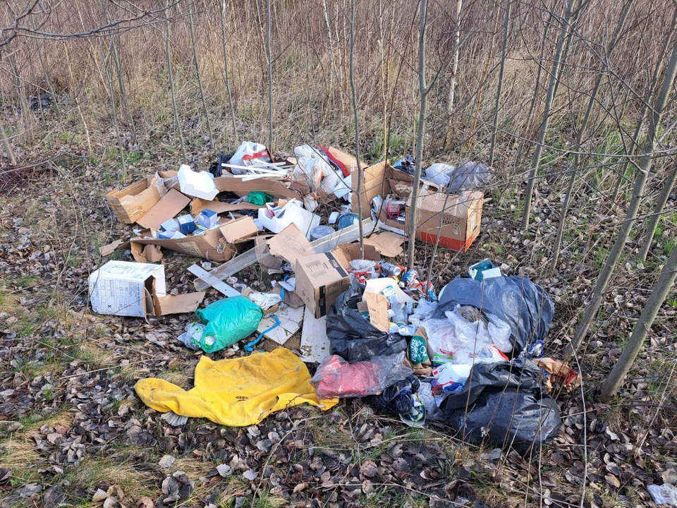 Odpady wyrzucone przy autostradzie. „Zapraszamy właściciela ze Zgierza do zabrania swojej zguby” - Zdjęcie główne