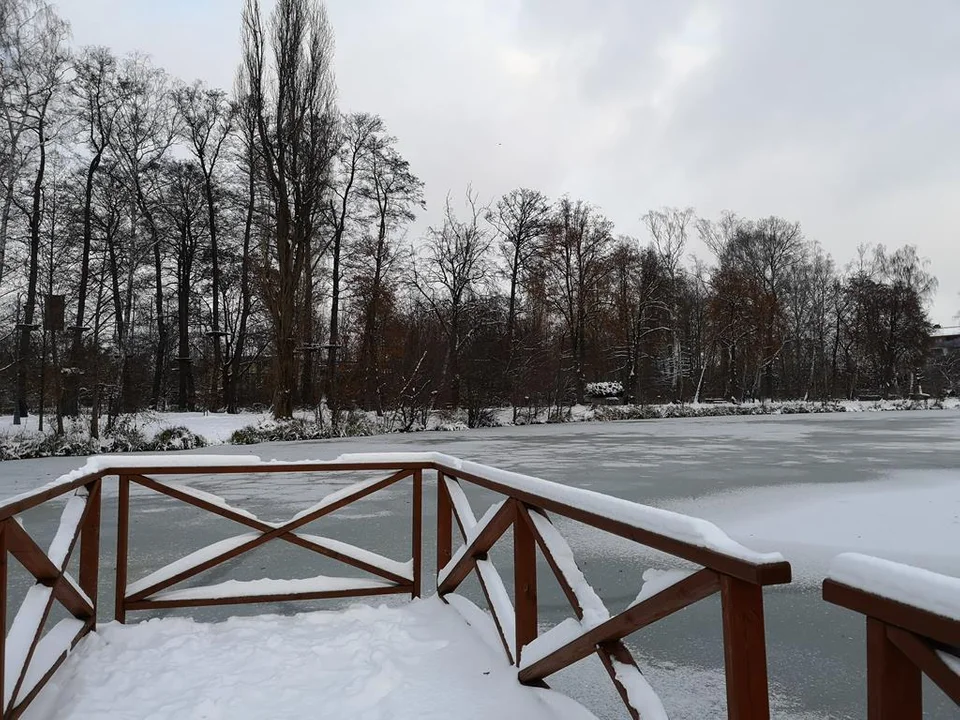 Zima zagościła w Parku Miejskim