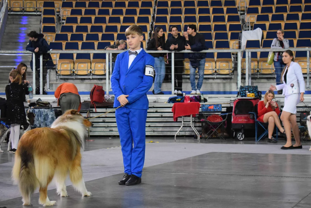 Wystawa psów w Atlas Arenie