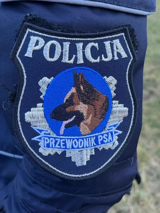 Łódzką policję zasilił Nero - dwuletni owczarek niemiecki