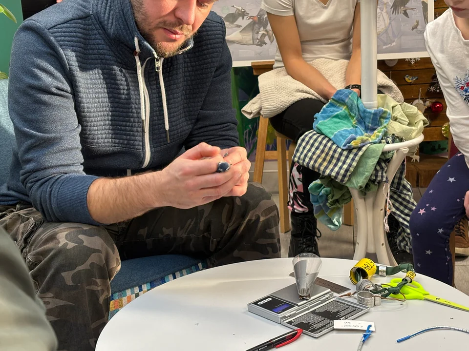 Akcja Karmnik 2026 w Gdańsku – poranek z ptakami przy karmniku