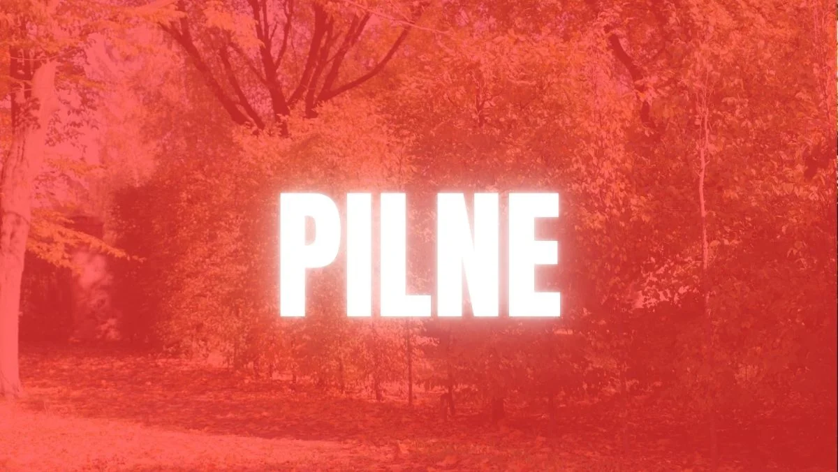 Trwa walka z groźną bakterią w woj. łódzkim. Może być przenoszona przez owady