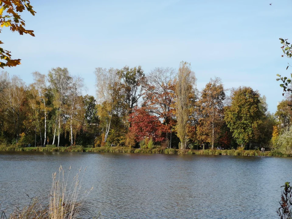 Zgierzanie korzystają z pięknej jesiennej pogody