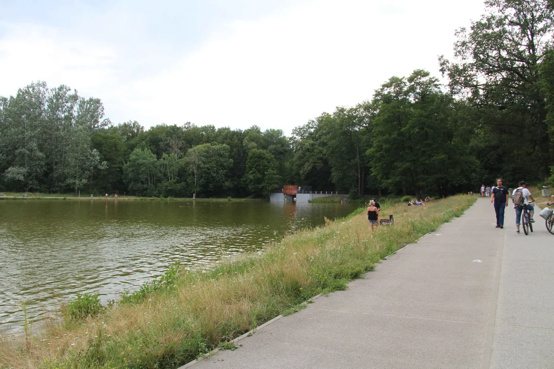 Arturówek podczas upałów - 16.07.2023 r.