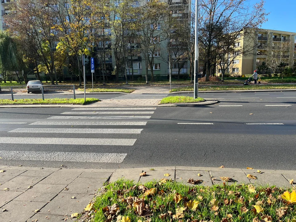 Kierujący pojazdami zawsze muszą ustąpić pierwszeństwa pieszym. Co na to łodzianie?