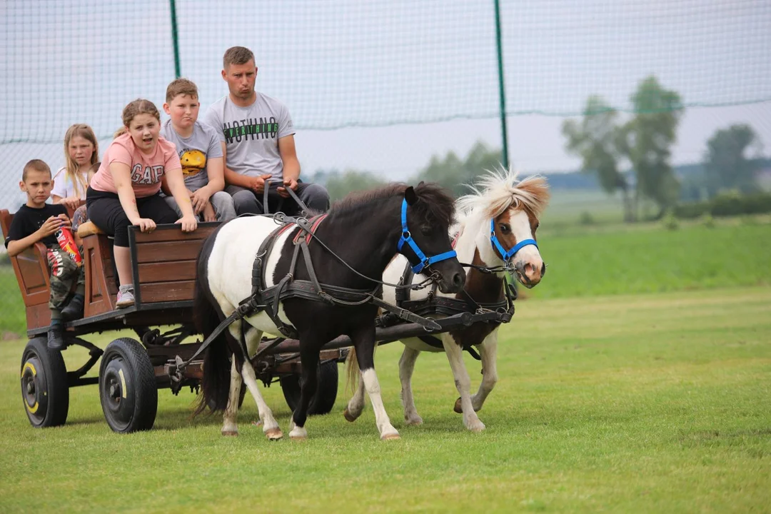 Piknik Rodzinny w Skrzeszewach