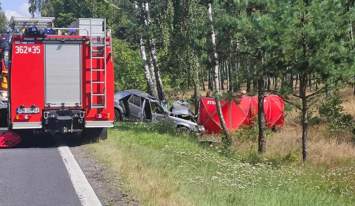 Tragedia na popularnej trasie niedaleko Płocka [ZDJĘCIA] - Zdjęcie główne