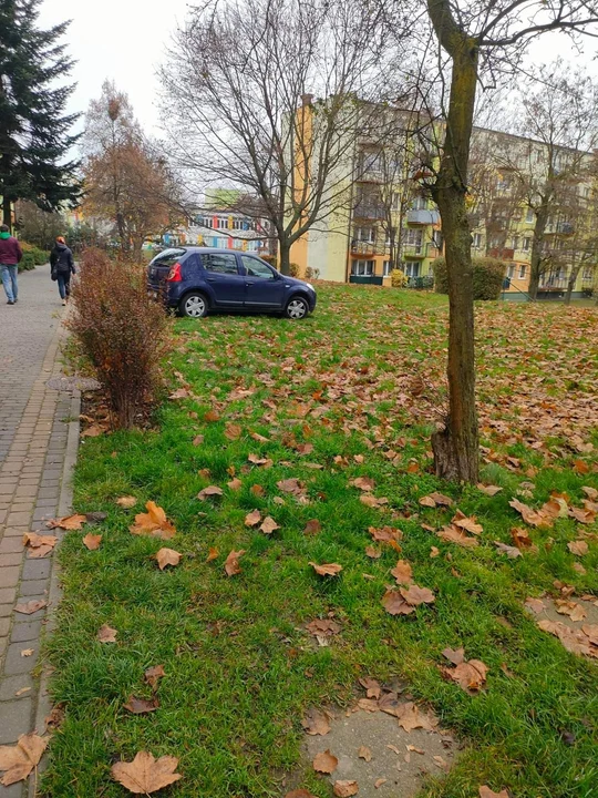 Jak parkują zgierzanie? Przedstawiamy galerię "mistrzów" [zdjęcia]