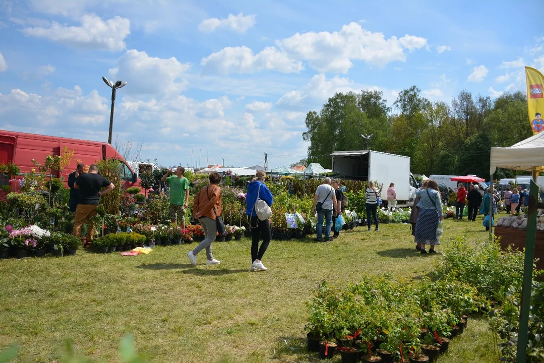 Targi Rolne Agrotechnika w Bratoszewicach 2024