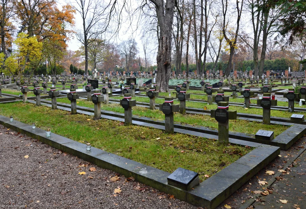 Cmentarz wojenny w Piotrkowie. Przy ulicy Partyzantów spoczywają żołnierze trzech wojen [ZDJĘCIA] - Zdjęcie główne