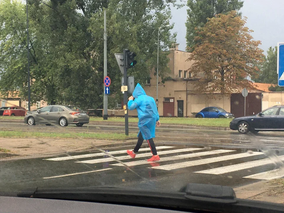 Zgubione tablice rejestracyjne i zalane piwnice. Bilans po weekendowych burzach w Zgierzu - Zdjęcie główne