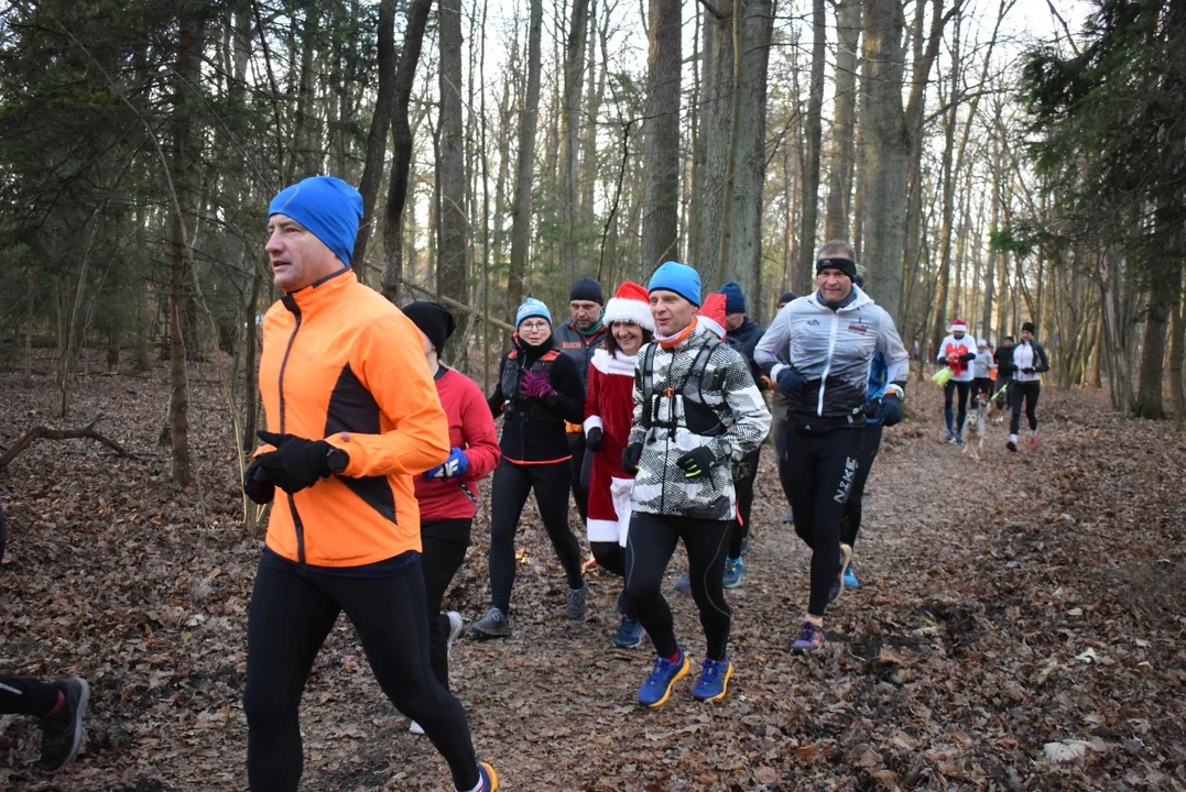 Parkrun w Lesie Łagiewnickim