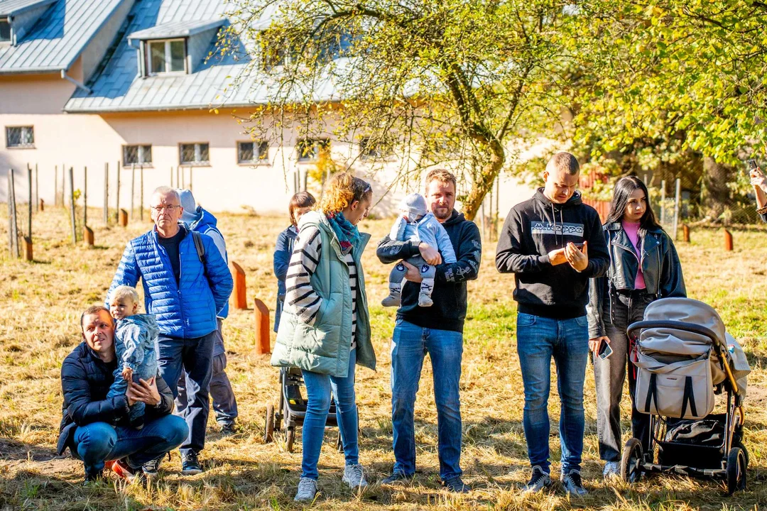 XI edycja akcji „Las Młodej Łodzi”