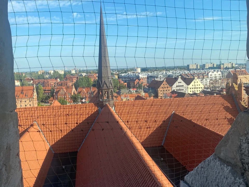 Odkryliśmy tajemnice kościoła św. Jana w Gdańsku