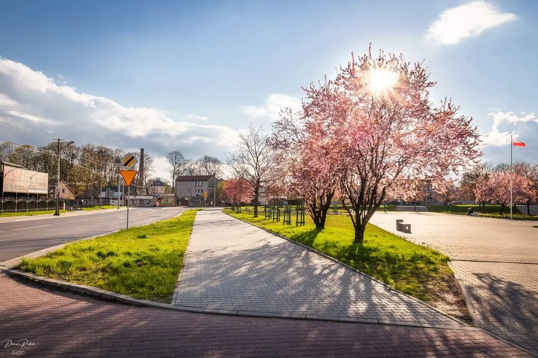 Wernisaż wystawy fotografii Damiana Redlickiego. Zdjęcia zapierają dech w piersiach [galeria]